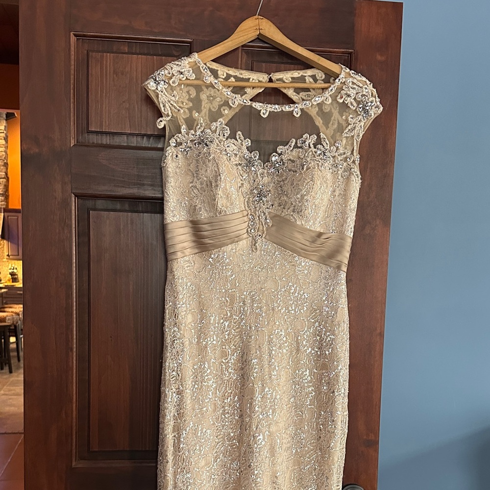 Elegant Lace Evening Gown